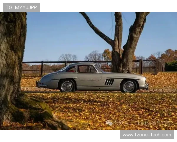 200万美元的老奔驰什么样？1957年梅赛德斯-奔驰300SL Gullwing